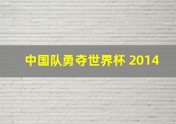 中国队勇夺世界杯 2014